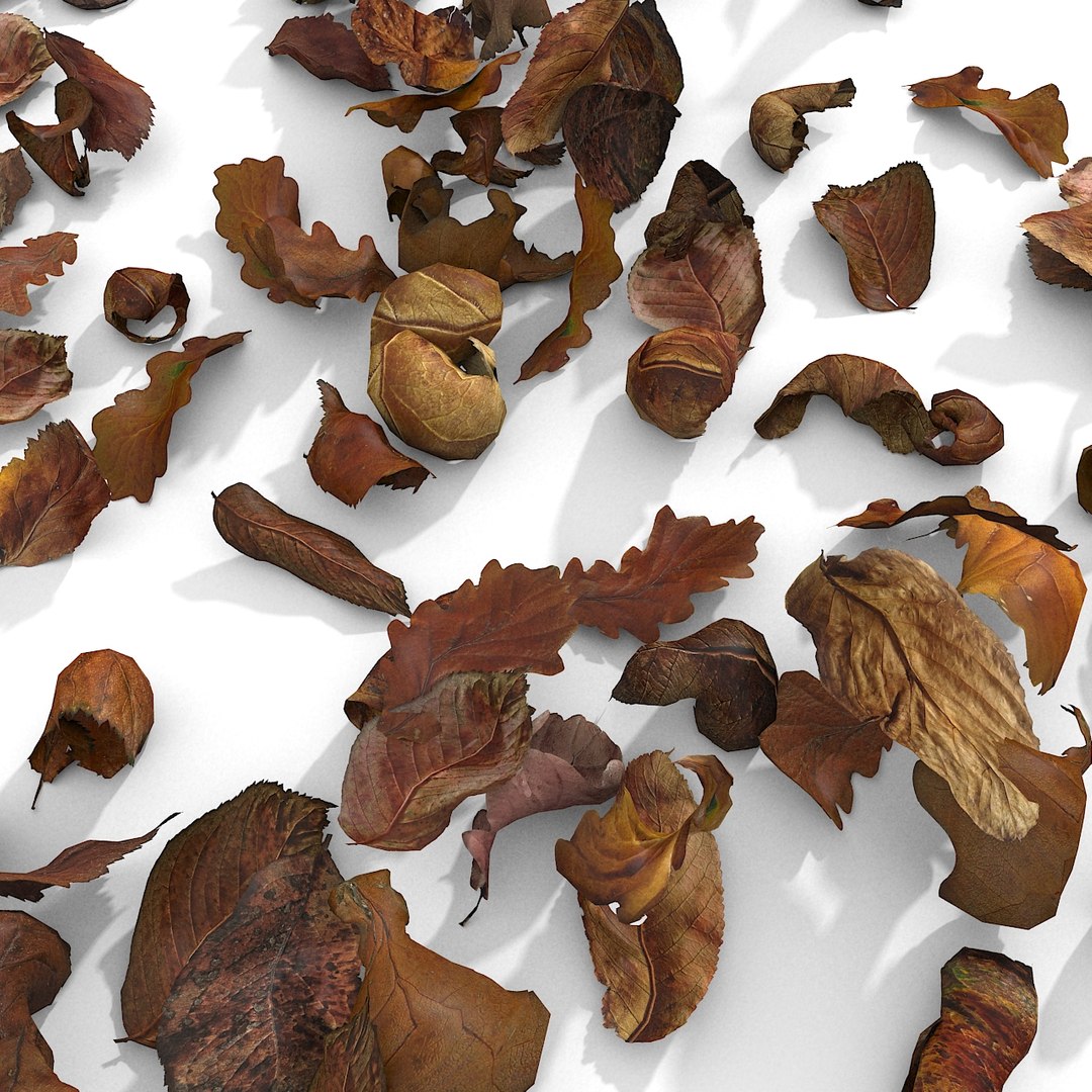 3d modelled https://p.turbosquid.com/ts-thumb/K5/JSgT4s/NV02Z025/20/jpg/1384806286/1920x1080/fit_q87/e534869286dd376fa743626e8f6b822de6940c8e/20.jpg