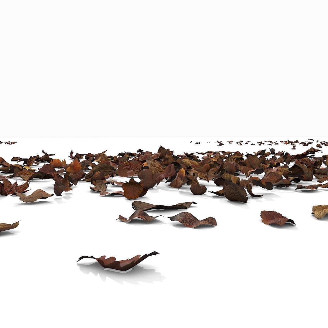 3d modelled https://p.turbosquid.com/ts-thumb/K5/JSgT4s/QfTnXnhm/19/jpg/1384806286/1920x1080/fit_q87/ef53504bc8dc50e9c9ba8bc288b7382b837f40e3/19.jpg