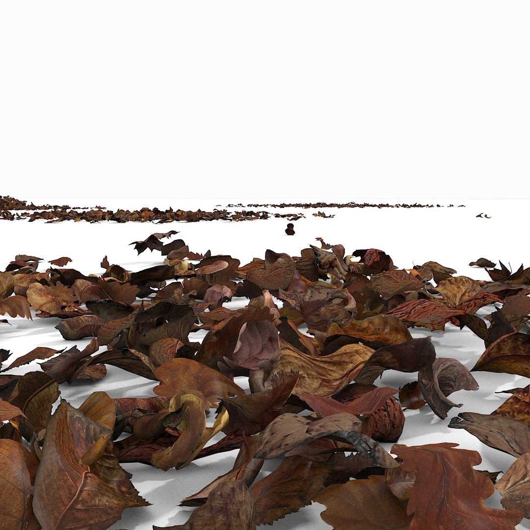 3d modelled https://p.turbosquid.com/ts-thumb/K5/JSgT4s/UIdCZEvx/18/jpg/1384806286/1920x1080/fit_q87/9c79b4be355b215c5212988cdb9110480ef82652/18.jpg