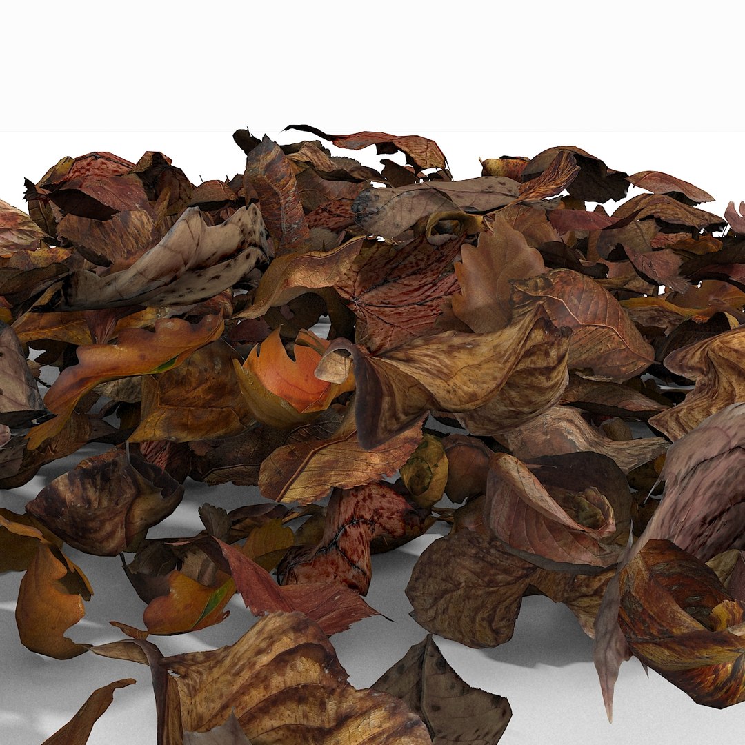 3d modelled https://p.turbosquid.com/ts-thumb/K5/JSgT4s/VMtiQ2Vz/25/jpg/1384806286/1920x1080/fit_q87/f31a5f09d298d572a9f3da2ec644f3606b2f2be7/25.jpg