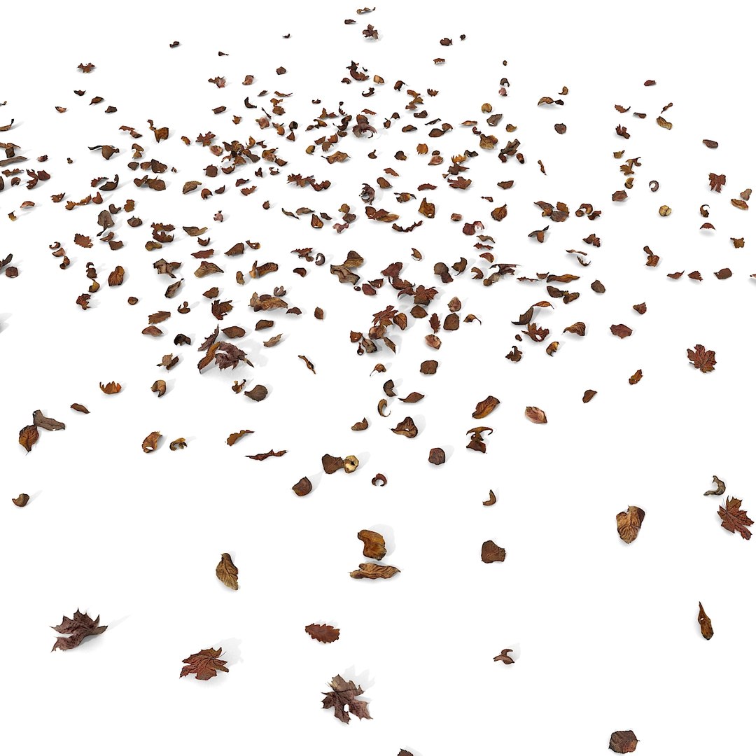 3d modelled https://p.turbosquid.com/ts-thumb/K5/JSgT4s/aQFIIMWC/02/jpg/1384806283/1920x1080/fit_q87/f1f8bf596b0163b6744ee5a46e0569e1dd61557d/02.jpg