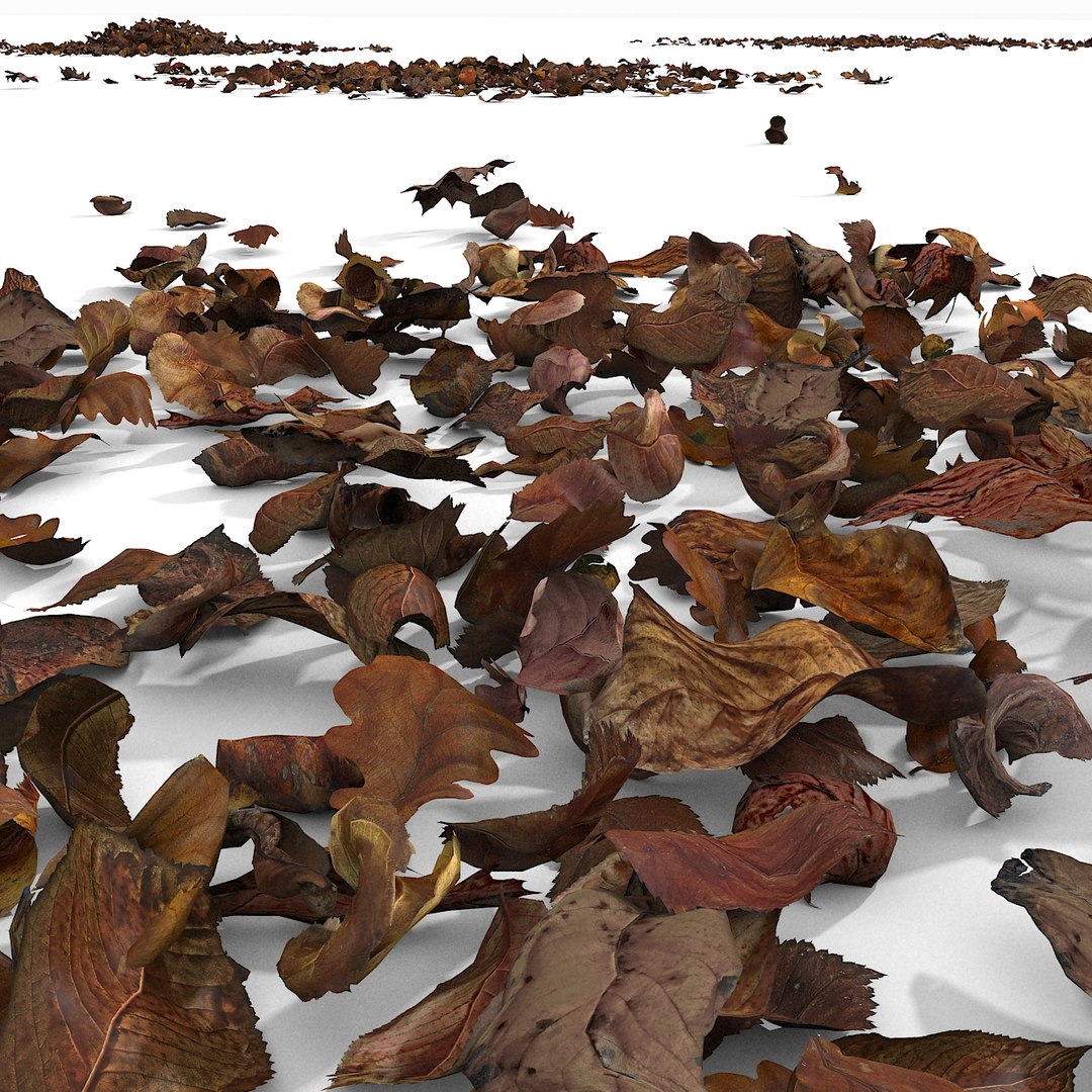 3d modelled https://p.turbosquid.com/ts-thumb/K5/JSgT4s/aryocf86/26/jpg/1384806287/1920x1080/fit_q87/485b9211242c0c8717f0e3beff9997a0a3c7406a/26.jpg