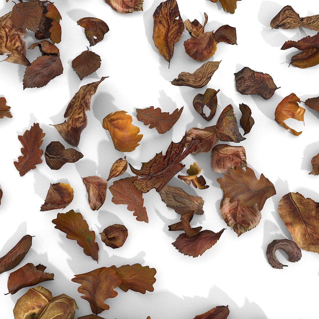 3d modelled https://p.turbosquid.com/ts-thumb/K5/JSgT4s/epNivie1/23/jpg/1384806286/1920x1080/fit_q87/ee56b4cd265c66190a3f5ecdc2bc27317e44ddbd/23.jpg