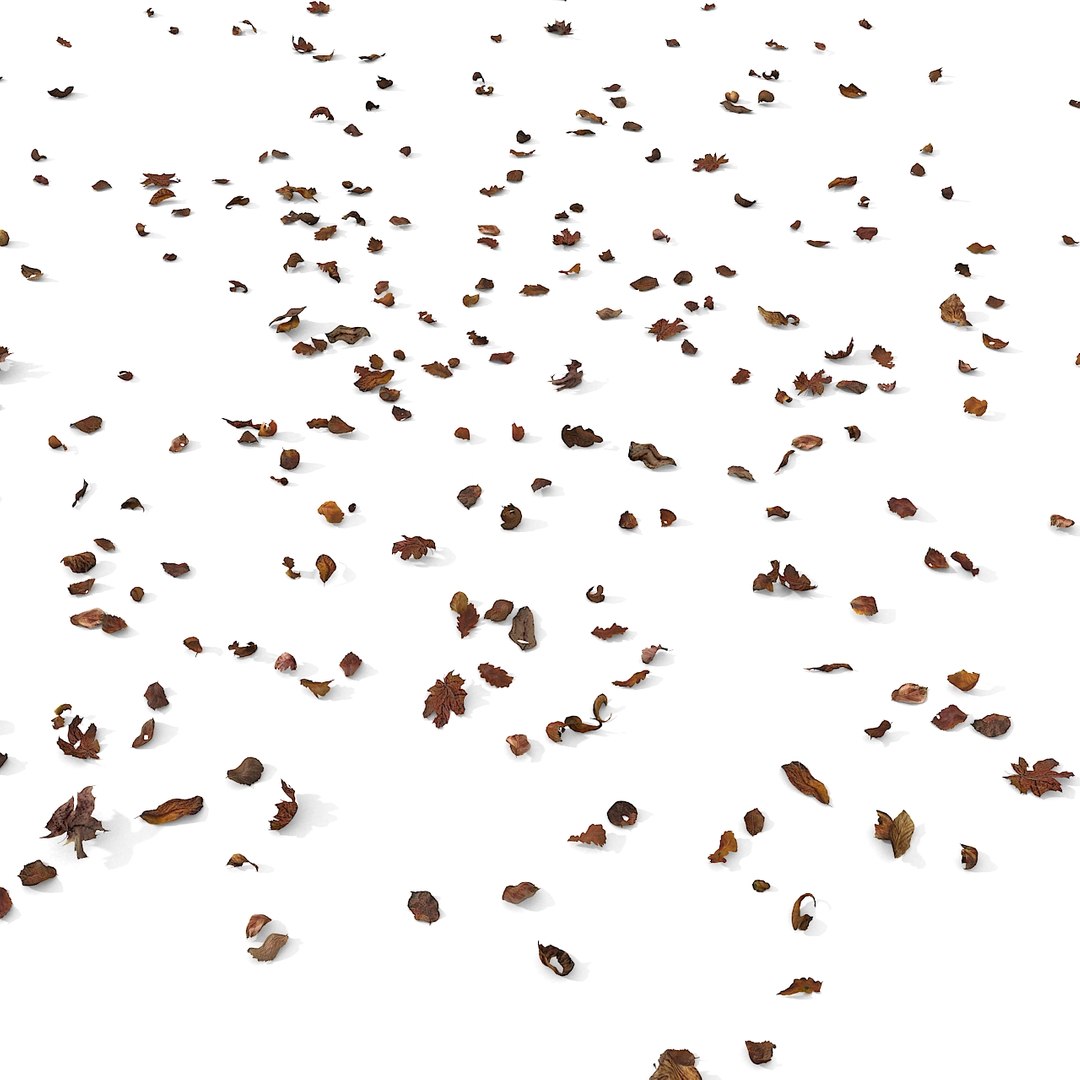 3d modelled https://p.turbosquid.com/ts-thumb/K5/JSgT4s/fDN9EHMa/07/jpg/1384806284/1920x1080/fit_q87/55c2e12d3218d2668ceff37cedb4fb4761e1b00f/07.jpg