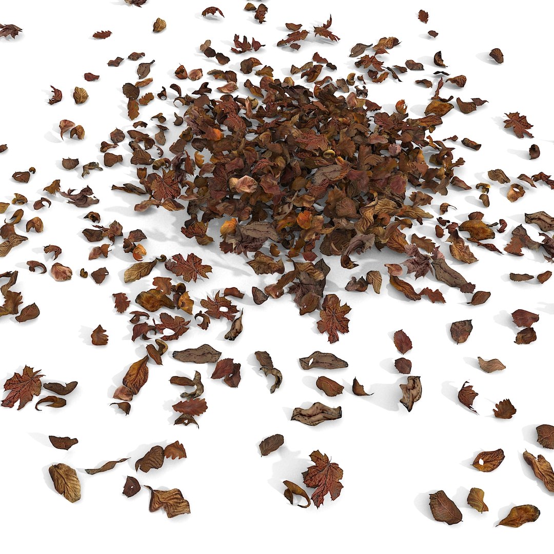 3d modelled https://p.turbosquid.com/ts-thumb/K5/JSgT4s/gXZYF6sU/12/jpg/1384806285/1920x1080/fit_q87/237bd1ff9922258ff2d49a7b6c202c37f4b53ac1/12.jpg