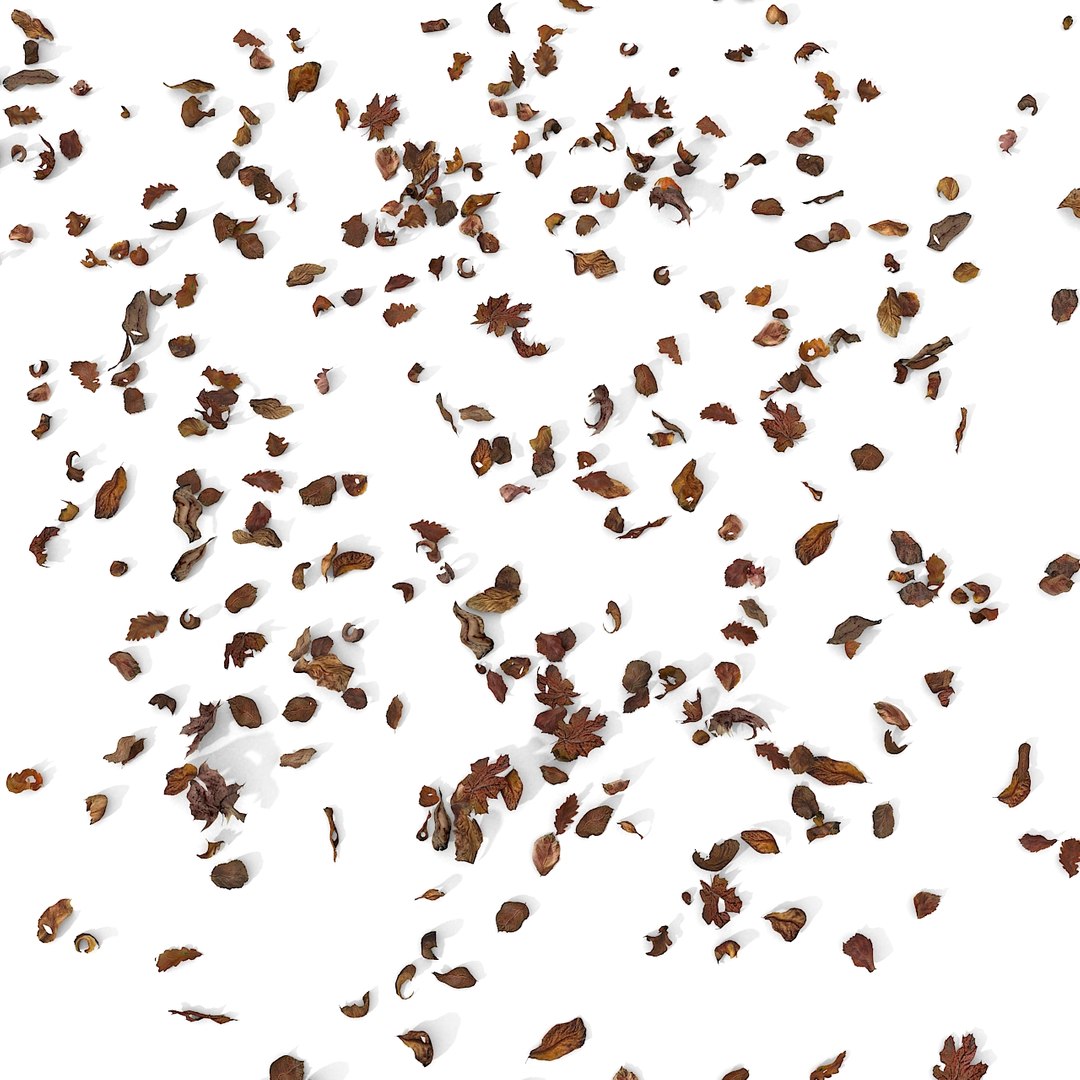 3d modelled https://p.turbosquid.com/ts-thumb/K5/JSgT4s/hc7roo3o/16/jpg/1384806285/1920x1080/fit_q87/fae94751b3477e1ed5f6752d68aed8c51f8ce306/16.jpg