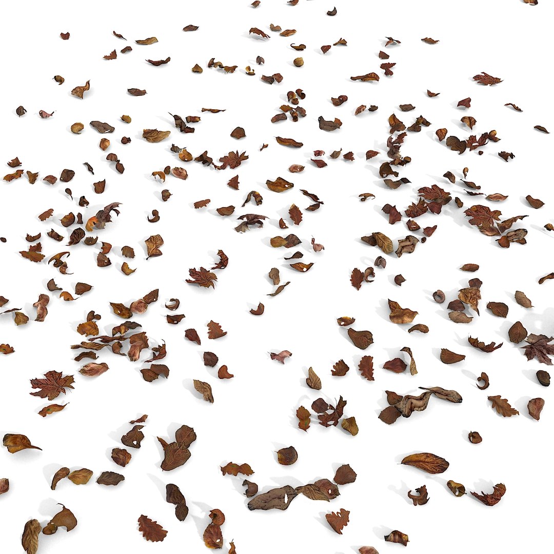 3d modelled https://p.turbosquid.com/ts-thumb/K5/JSgT4s/kKO9B1Pl/10/jpg/1384806285/1920x1080/fit_q87/ac75e86dcc5e130ef4abb802f3e6c284e99f13fc/10.jpg