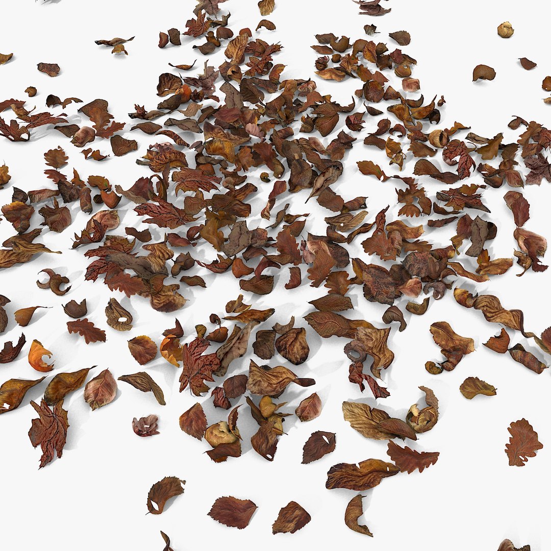 3d modelled https://p.turbosquid.com/ts-thumb/K5/JSgT4s/oh5HFDuP/0511/jpg/1384808251/1920x1080/fit_q87/72d9092939c9b5d8448e8a1da8192d4177021249/0511.jpg