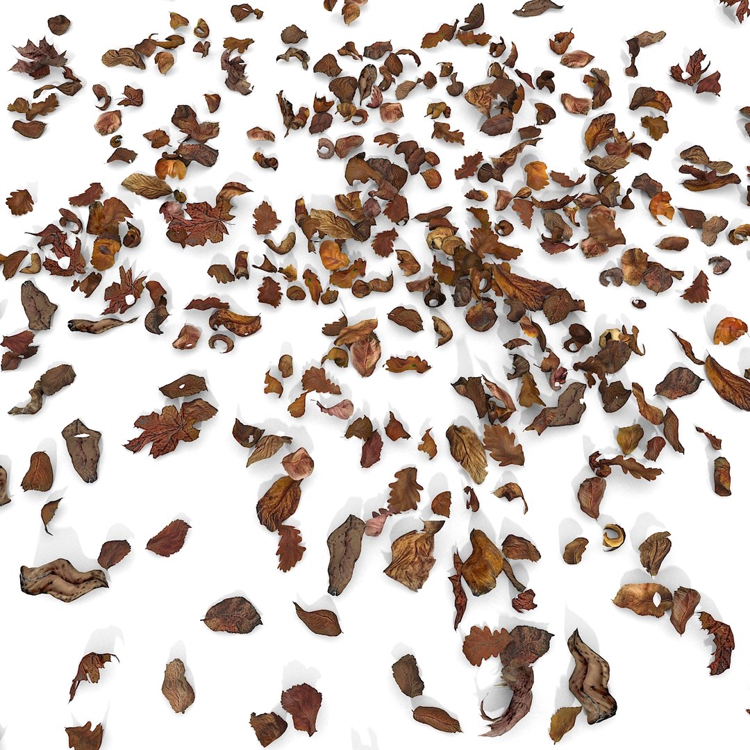 3d modelled https://p.turbosquid.com/ts-thumb/K5/JSgT4s/txrSexRT/13/jpg/1384806285/1920x1080/fit_q87/8b15416e4596e027fddee41b8b4b87663c4e98e6/13.jpg