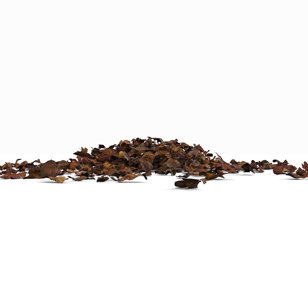 3d modelled https://p.turbosquid.com/ts-thumb/K5/JSgT4s/v7SrE8KJ/11/jpg/1384806285/1920x1080/fit_q87/c93780252bfd15b65b891a105d366ff084acfef0/11.jpg