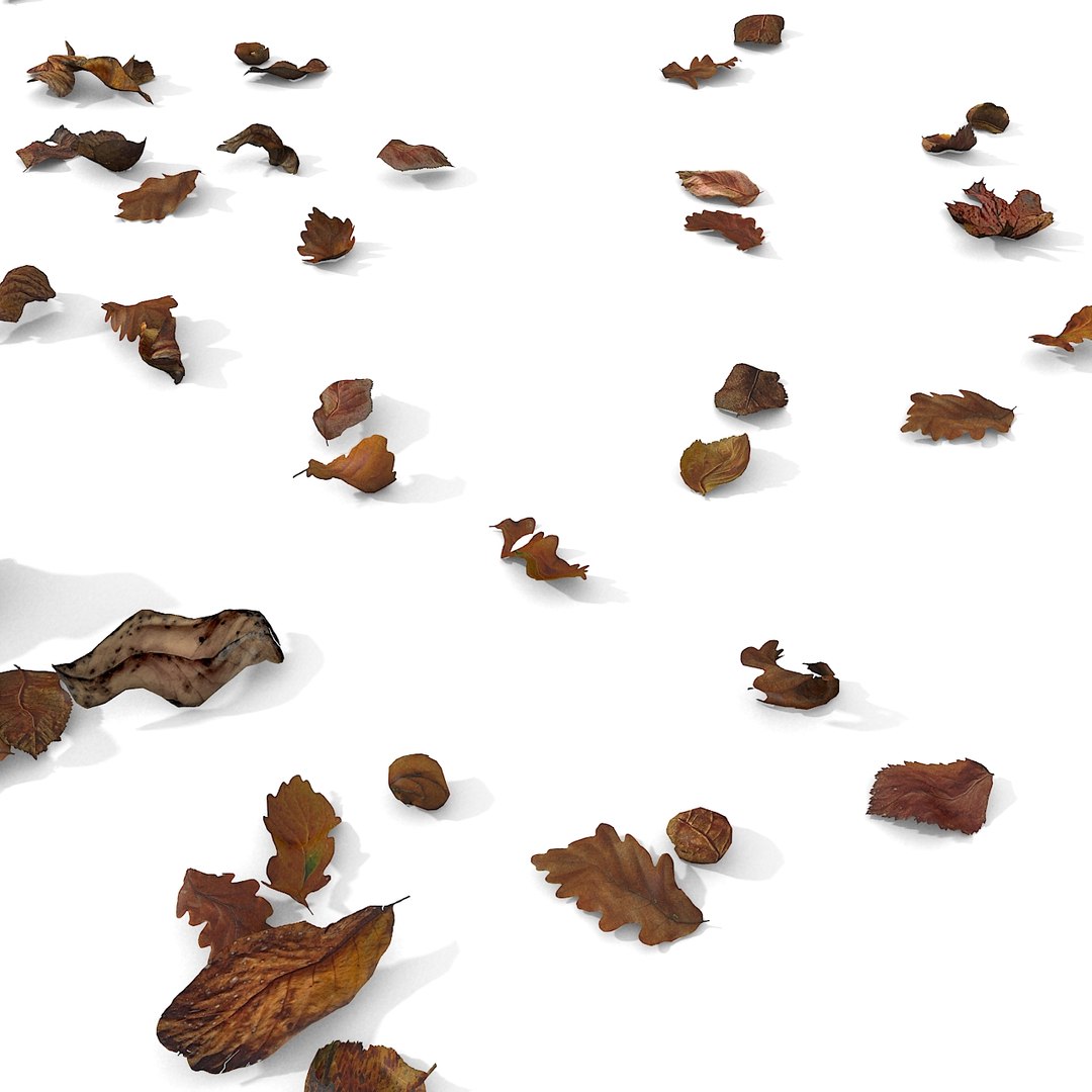 3d modelled https://p.turbosquid.com/ts-thumb/K5/JSgT4s/zbyan39j/08/jpg/1384806285/1920x1080/fit_q87/cc221b01f3860ca0a3d6f75ba949aad791d0d552/08.jpg