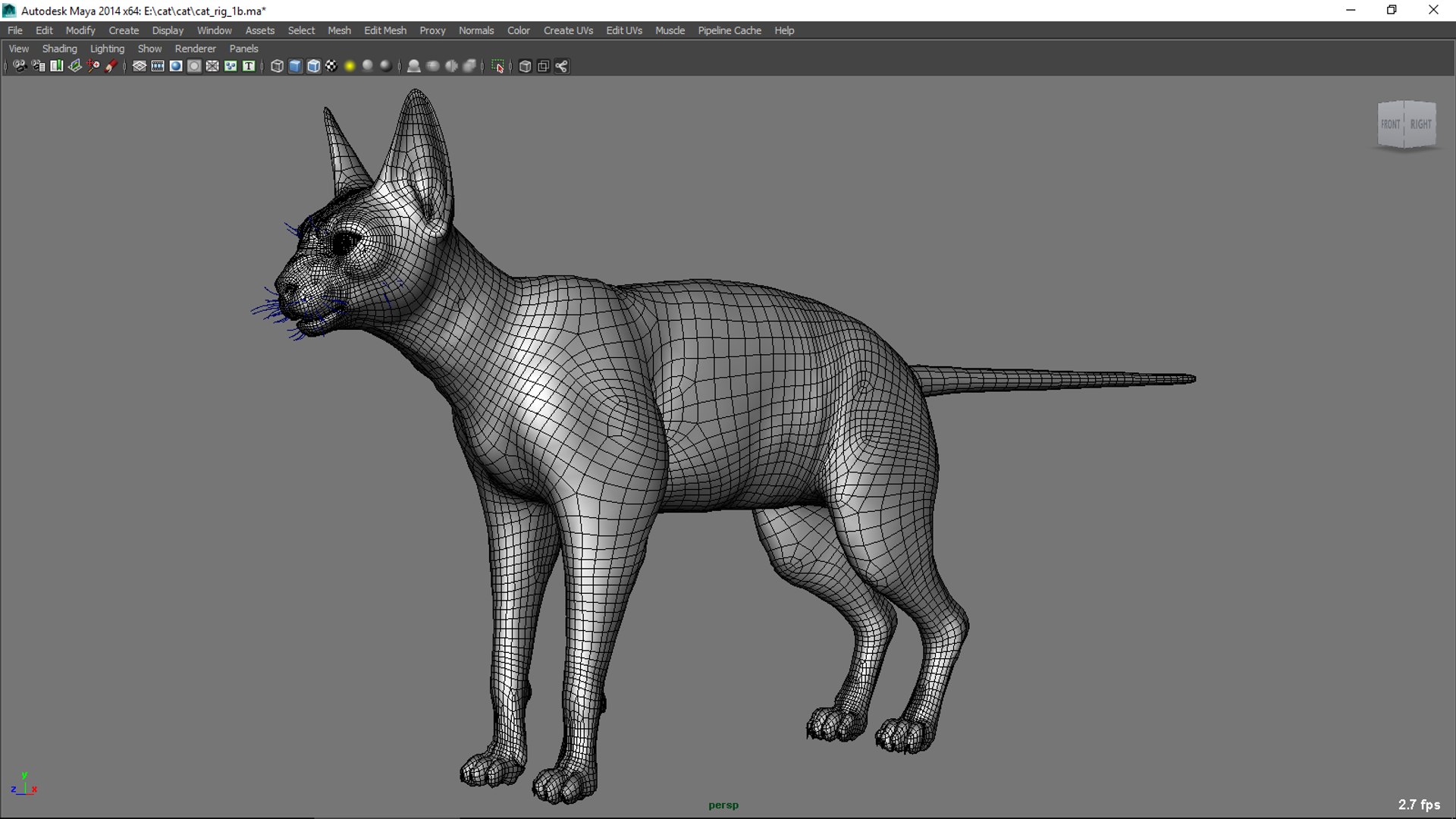3D Sphynx Cat Rig - TurboSquid 1324929