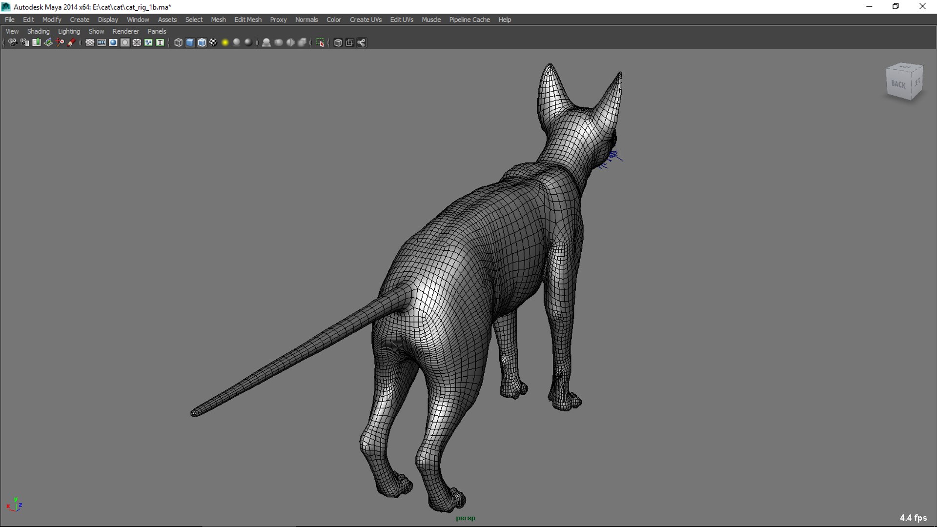 3D Sphynx Cat Rig - TurboSquid 1324929