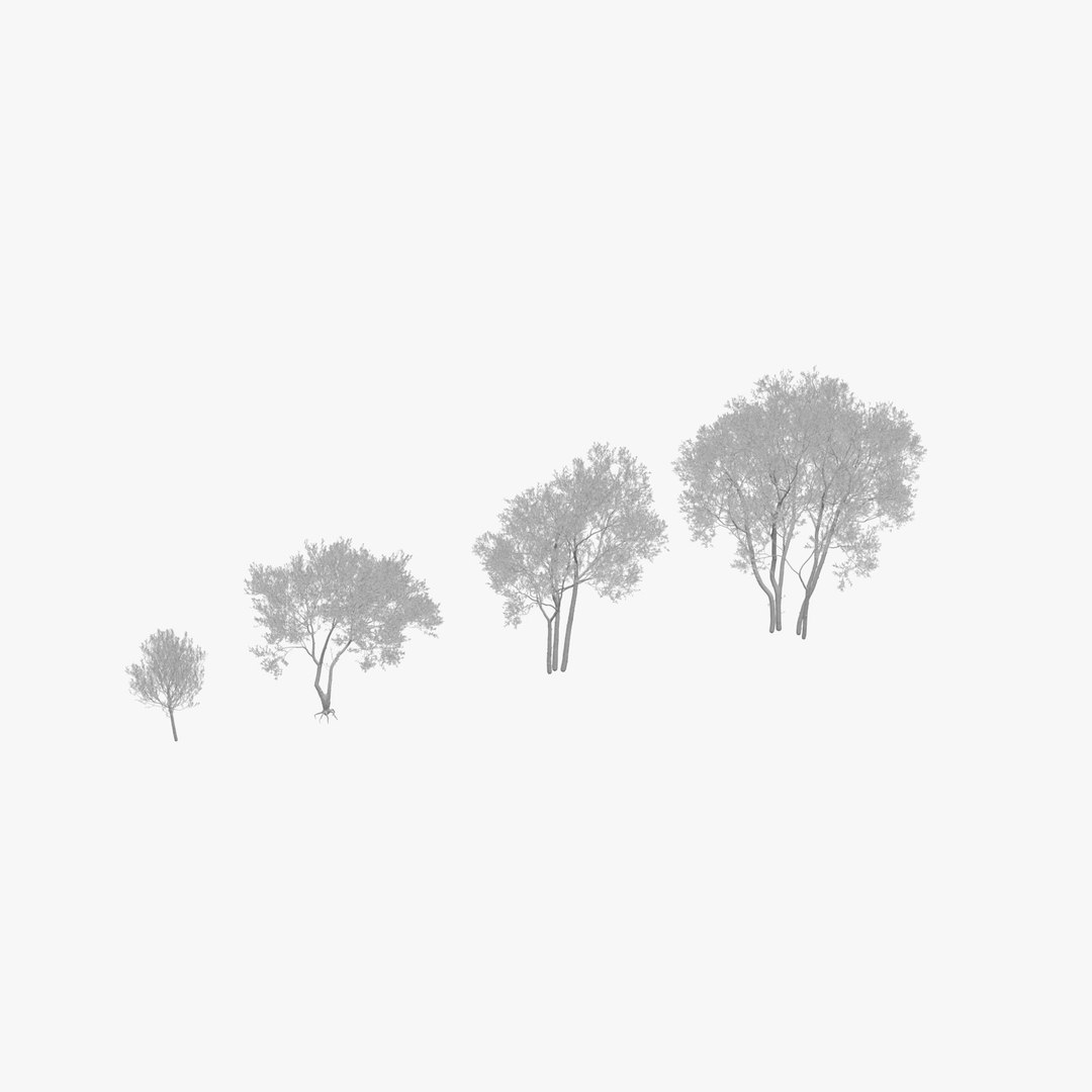 Landscape Tree Collection model https://p.turbosquid.com/ts-thumb/K5/UkAoXf/7e/00search/jpg/1790157629/1920x1080/fit_q87/d517819340f66a02b325b9242afac269a0f587ff/00search.jpg