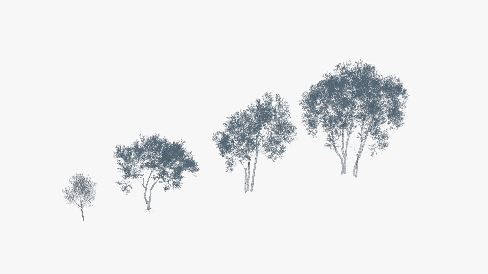 Landscape Tree Collection model https://p.turbosquid.com/ts-thumb/K5/UkAoXf/I7/06wireframe/jpg/1790157644/1920x1080/fit_q87/c6bc53b3095f64179f4268c41f226dd44abfc4ba/06wireframe.jpg
