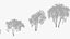 Landscape Tree Collection