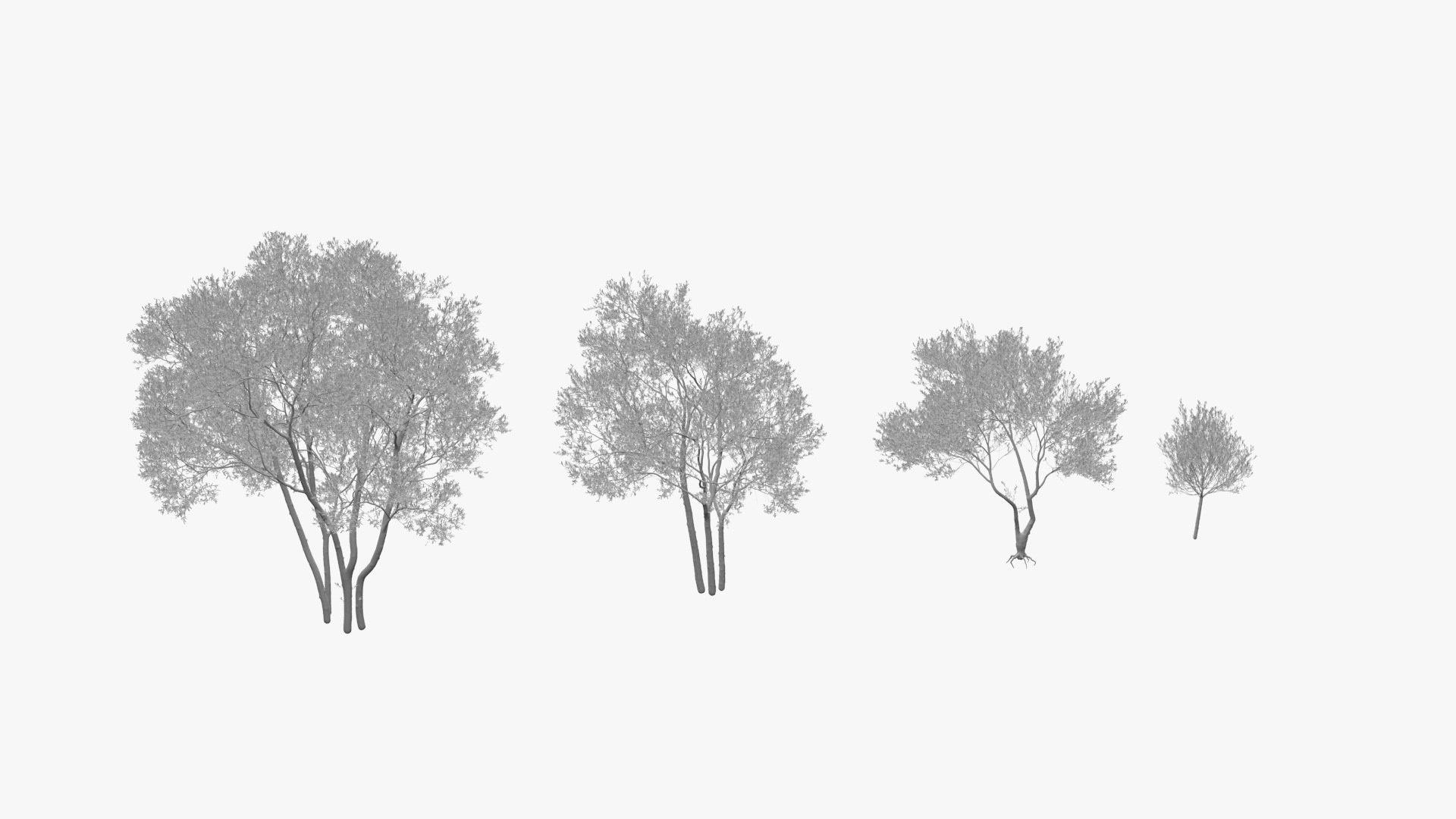 Landscape Tree Collection model https://p.turbosquid.com/ts-thumb/K5/UkAoXf/jc/03rear/jpg/1790157634/1920x1080/fit_q87/9a605c61c7d3eacdb856f7319d0dc118c58d9843/03rear.jpg
