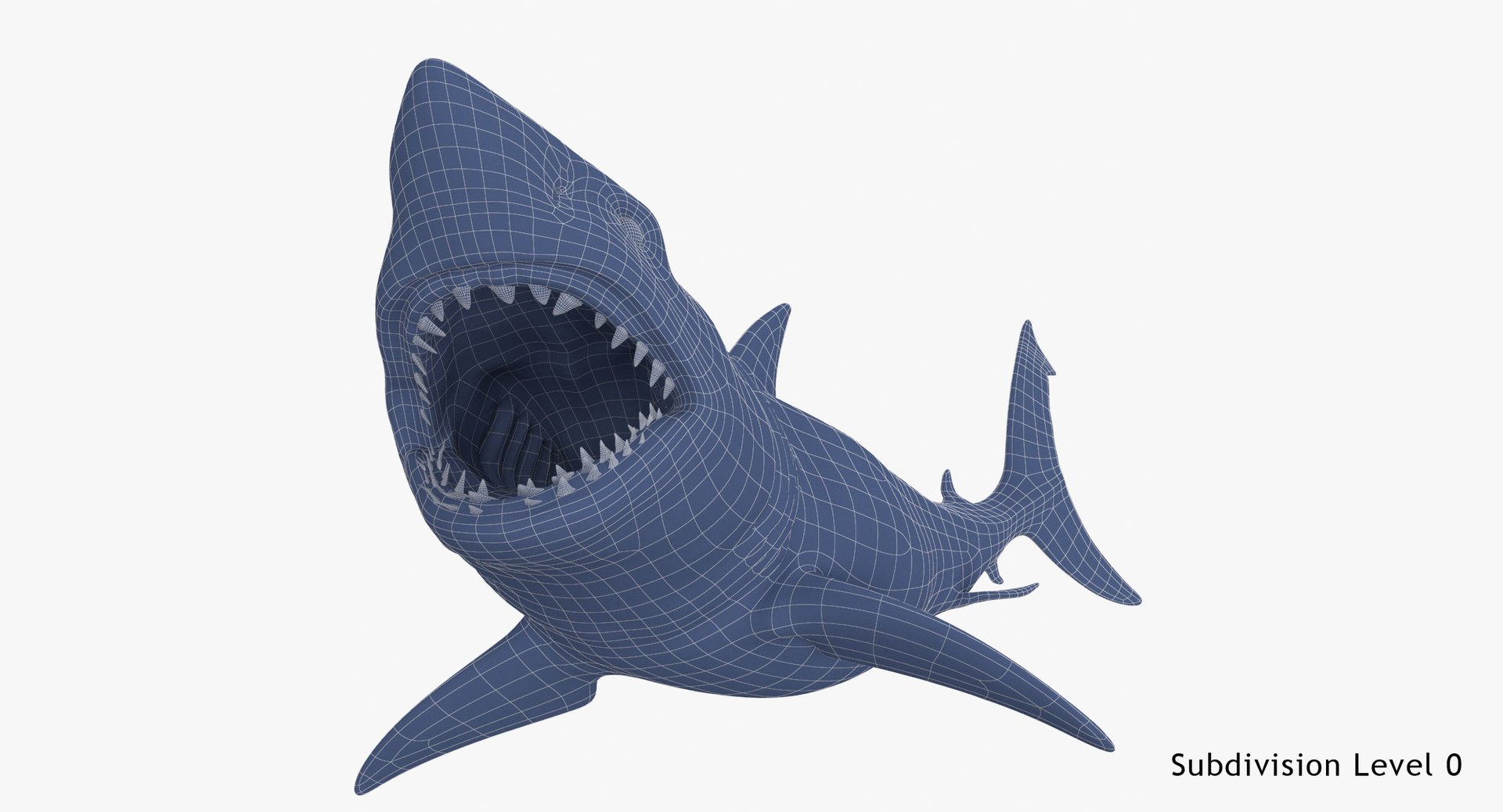 Great White Shark NO Rigged in Blender | 3D model