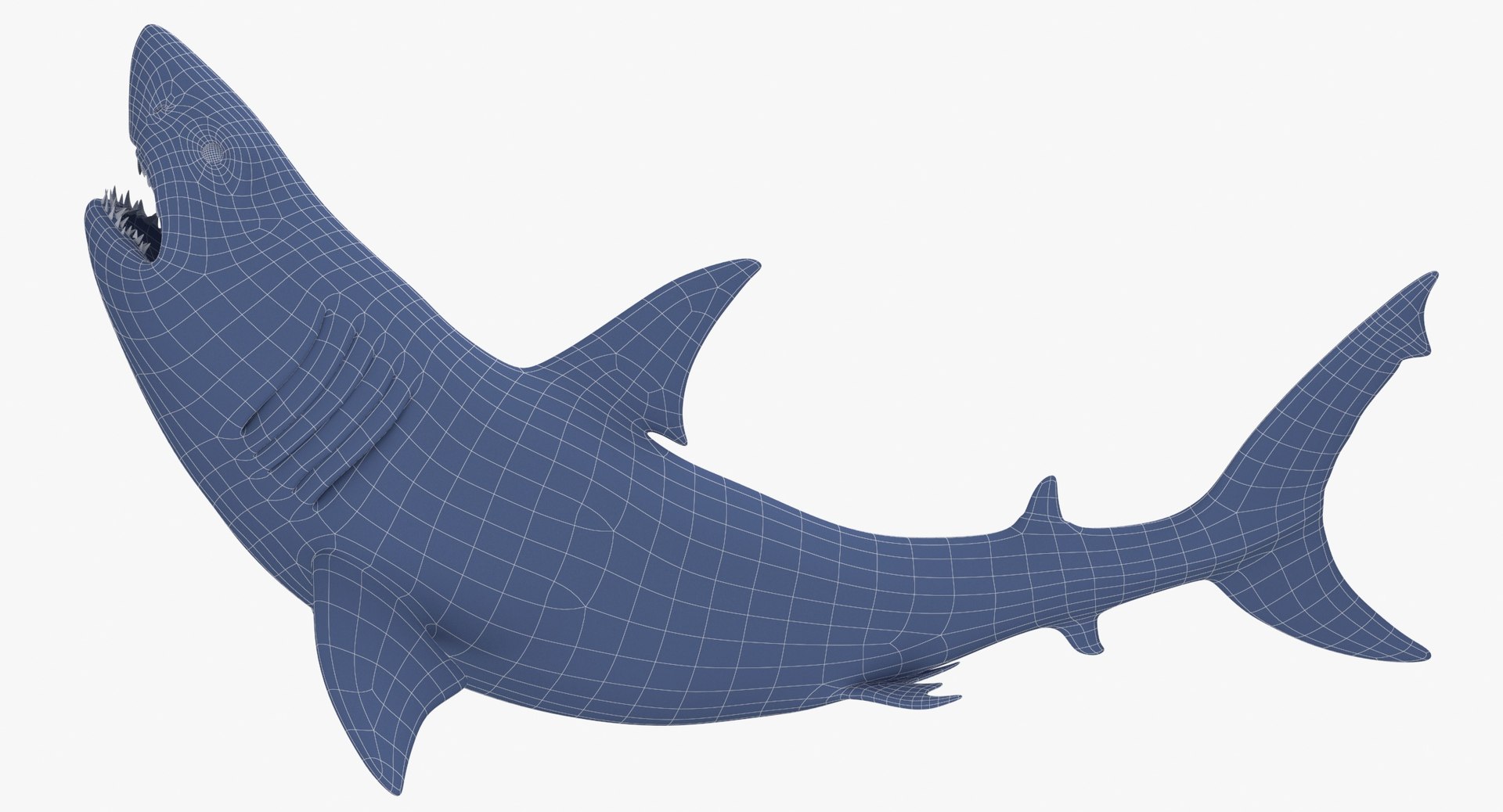 Great White Shark NO Rigged in Blender model - TurboSquid 2009438