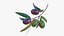 olive branch 3D