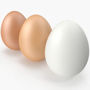 realistic eggs 3D model