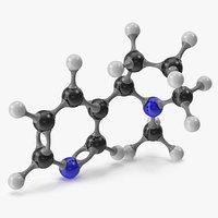 Nicotine Molecular Model