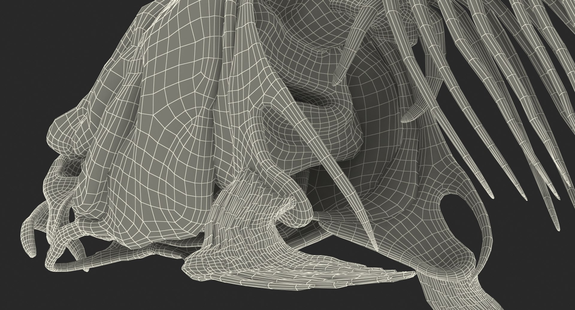 carp skeleton 3D https://p.turbosquid.com/ts-thumb/K5/saiqT6/Ok31P8Jr/carpskeletonc4dmodel018/jpg/1537263768/1920x1080/fit_q87/938407725b87b4ccbfae65d90009b1299479b9df/carpskeletonc4dmodel018.jpg