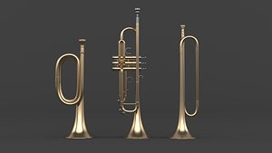 Trumpet Collection 3D model
