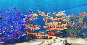 3D model Coral Reef Marine Life
