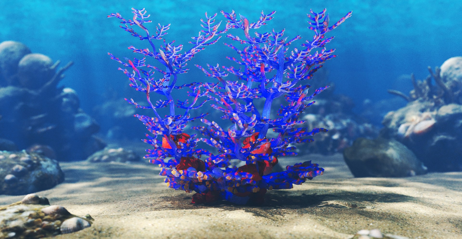 3D Model Coral Reef Marine Life - TurboSquid 2341628