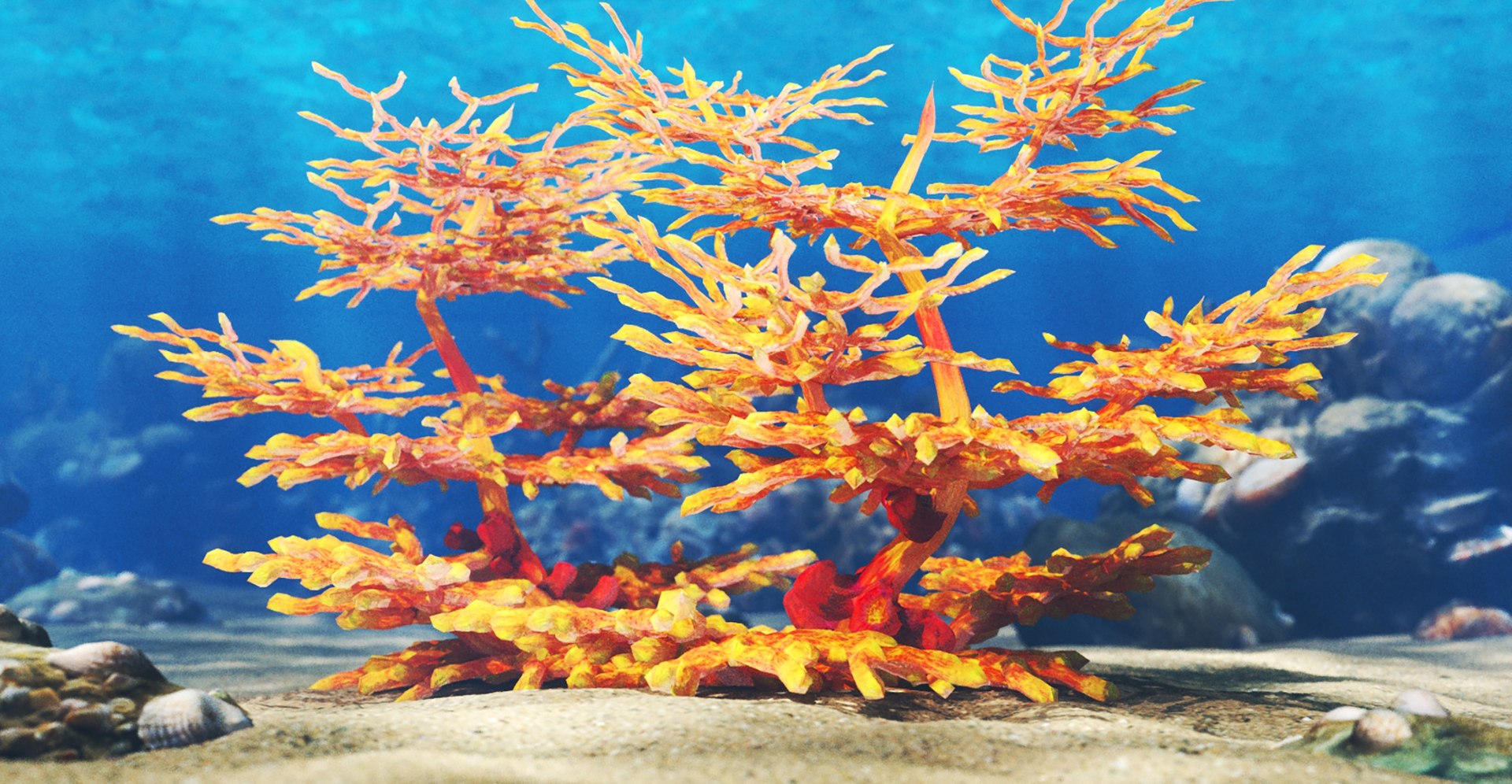 3D Model Coral Reef Marine Life - TurboSquid 2341628