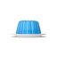 Blue Jelly In Plate