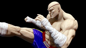 Sagat