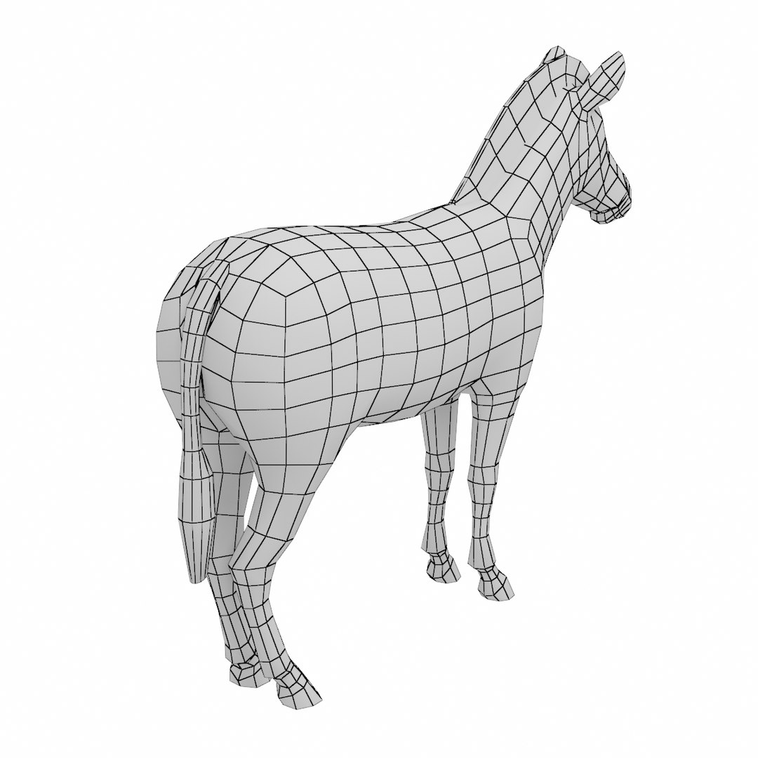 Mesh zebra animal anatomy 3D model TurboSquid 1247697