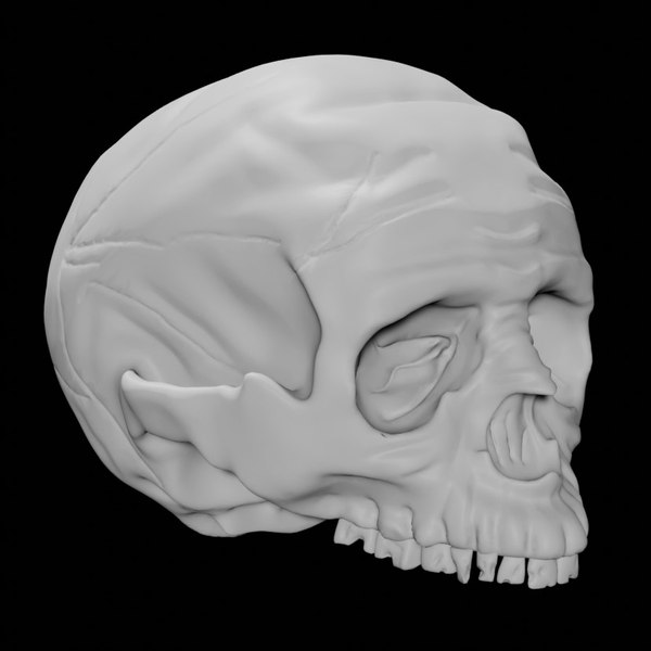 頭蓋骨3Dモデル - TurboSquid 1844864 頭蓋骨3Dモデル - TurboSquid 1844864