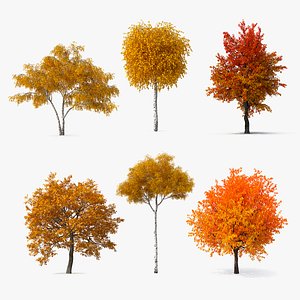 3D Autumn Yellow Trees Collection 3