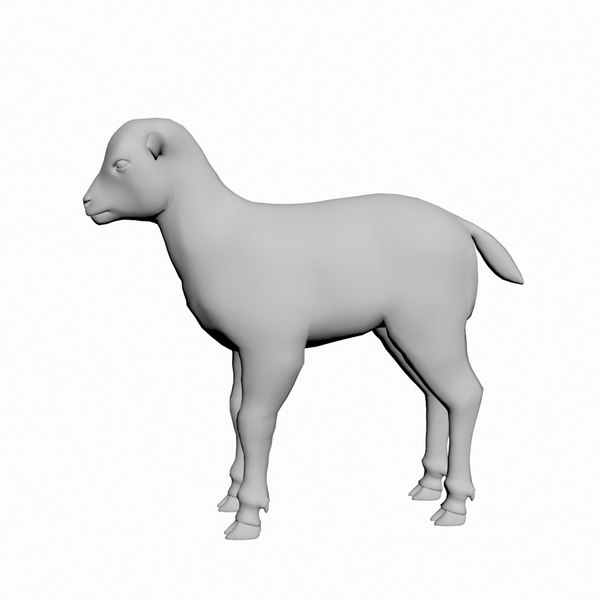 Modelo 3d Cabra Cabrito 3d Malla - TurboSquid 1763954