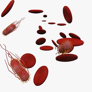 e coli bacteria 3d max