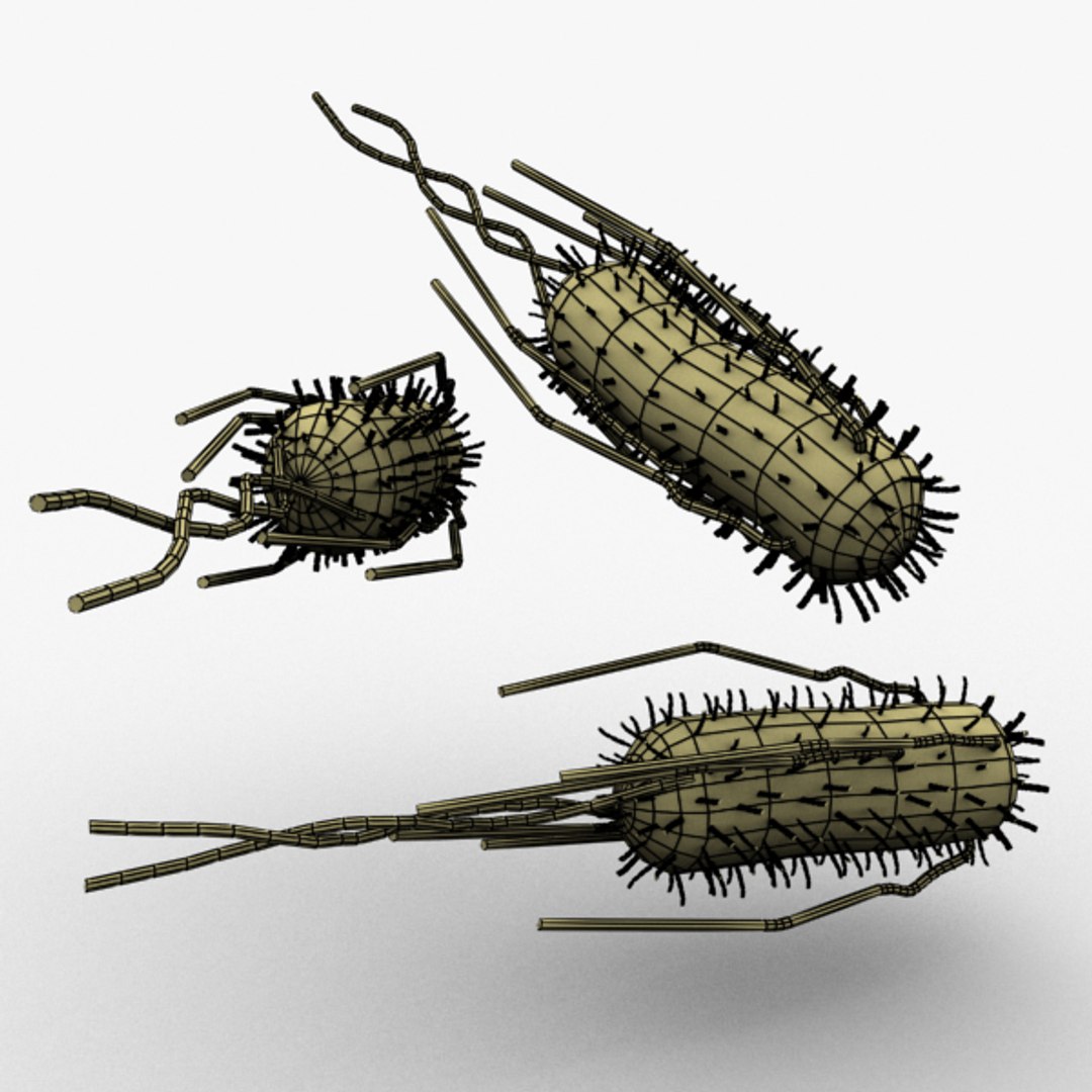 e coli bacteria 3d max https://p.turbosquid.com/ts-thumb/K6/hJgly9/AVnQreE0/ecolibakteriasig8/jpg/1316954297/1920x1080/fit_q87/f3478a79dbd64e8cc193c9be2f3f4157048fa93b/ecolibakteriasig8.jpg