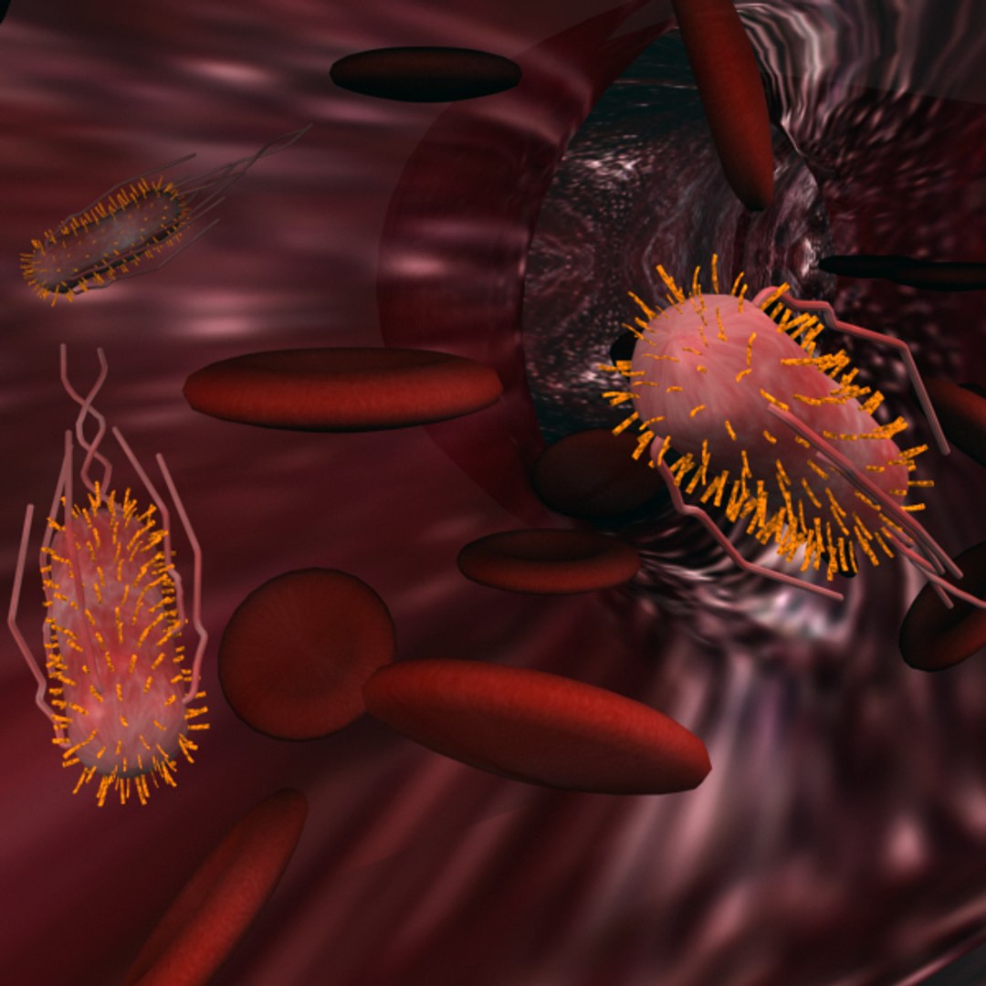 e coli bacteria 3d max https://p.turbosquid.com/ts-thumb/K6/hJgly9/SiT5DLIi/ecolibakteriasig4/jpg/1316954297/1920x1080/fit_q87/b0df80534bc52dacf3a673c913401ef925f1c8c8/ecolibakteriasig4.jpg