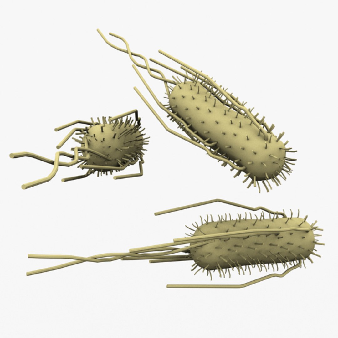 e coli bacteria 3d max https://p.turbosquid.com/ts-thumb/K6/hJgly9/nao6urZy/ecolibakteriasig7/jpg/1316954297/1920x1080/fit_q87/0283d8741cc26132ff580d7193dbca79fb1f5fca/ecolibakteriasig7.jpg