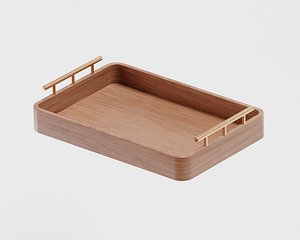 Tray 3D