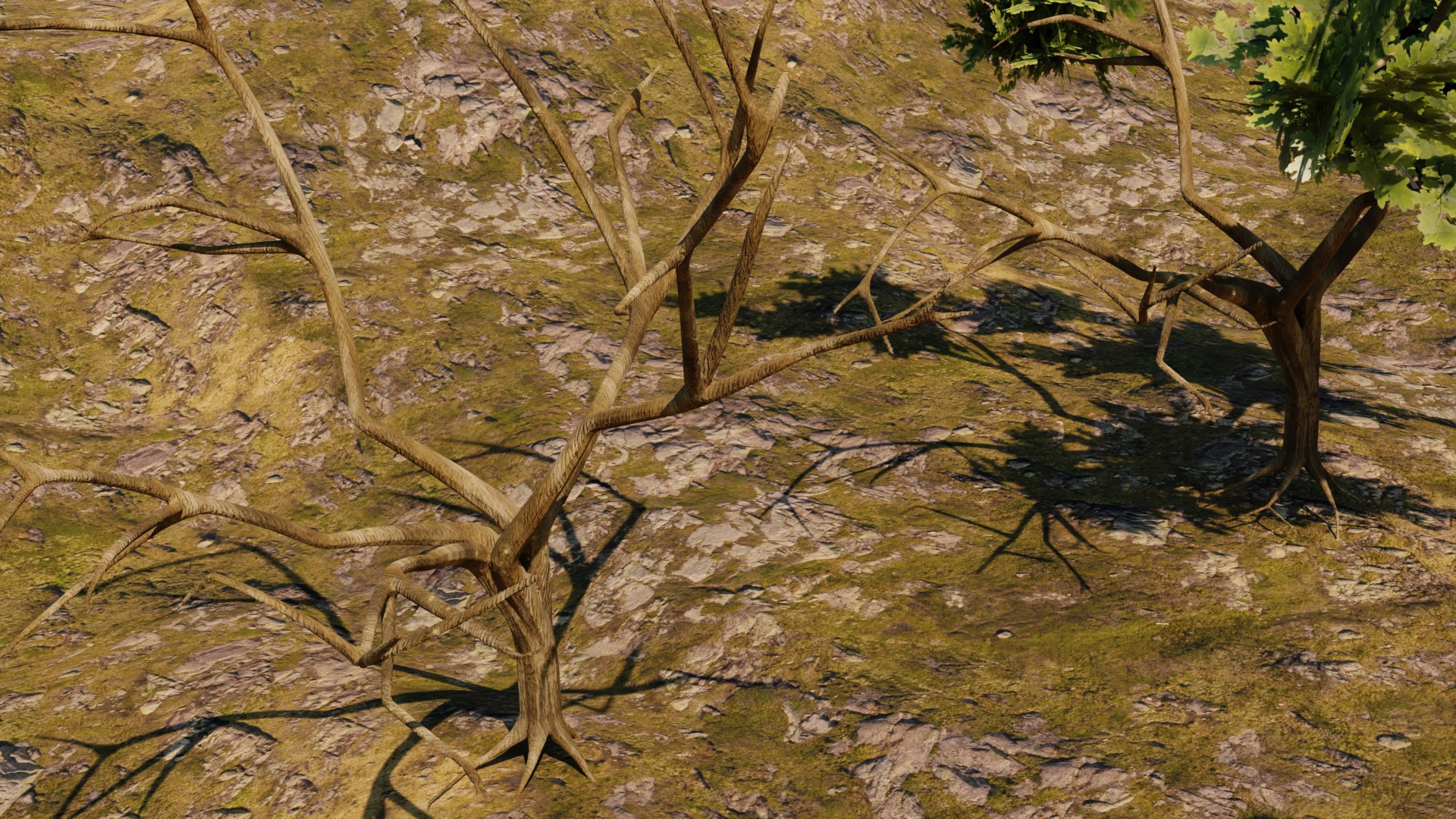 3D Low-poly Tree Collection - TurboSquid 1909110