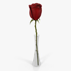 Red Rose in Vase