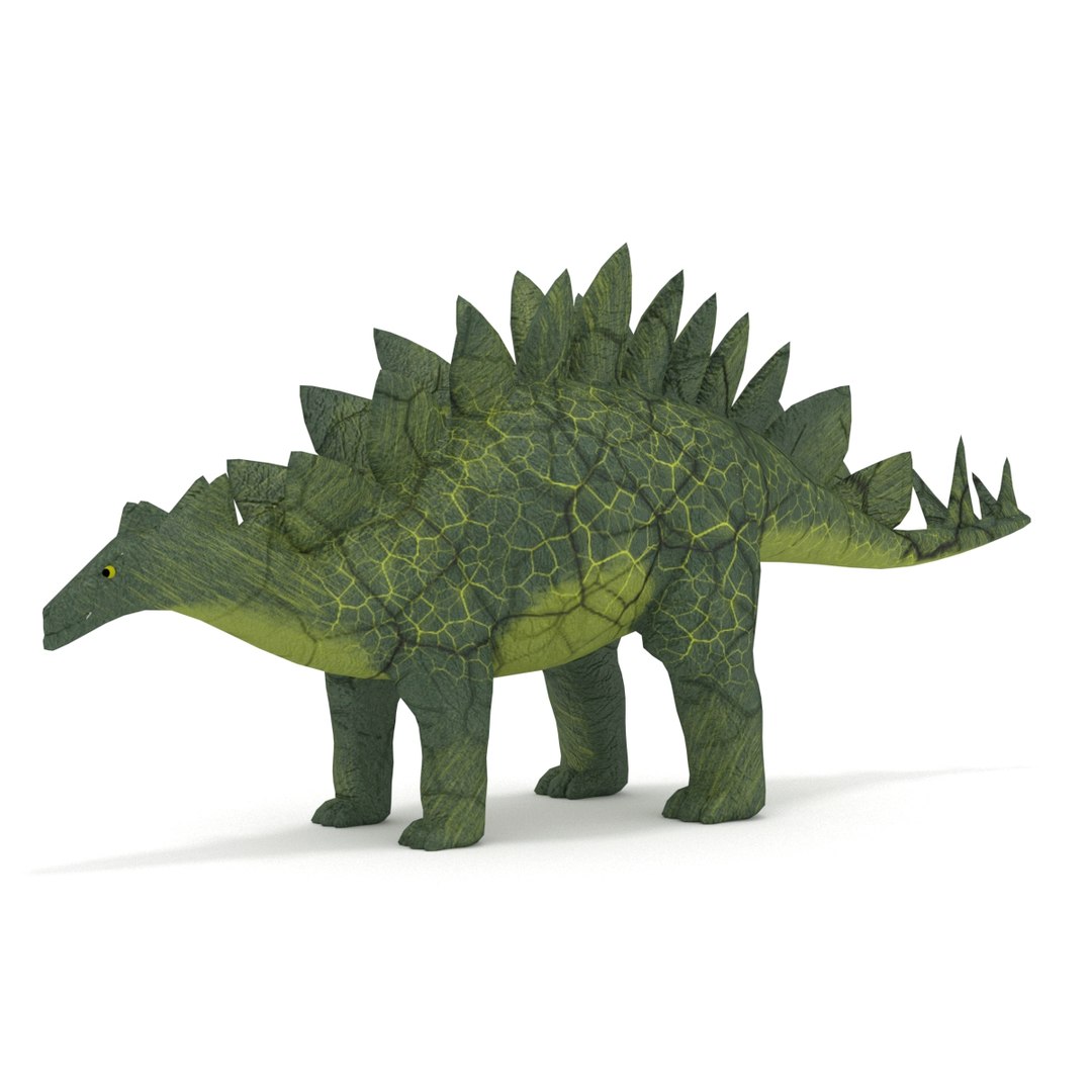Stegosaurus 3D model https://p.turbosquid.com/ts-thumb/K7/CH8qwo/W2/000/jpg/1755958896/1920x1080/fit_q87/83c0fd47c3716ab53864471dbd3a9352413f4fda/000.jpg