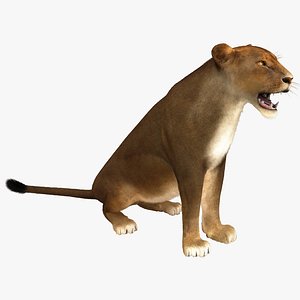 lioness pose 4 fur max