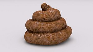Realistic feces