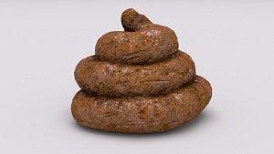 Realistic feces