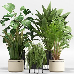 3D indoor Plant Set 017