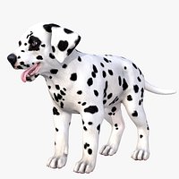 Puppy - Dalmatian